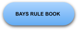 BAYS Rule Book Button