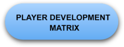 Development Matrix Button